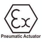 Atex - Pneumatic  Actuator Certificate